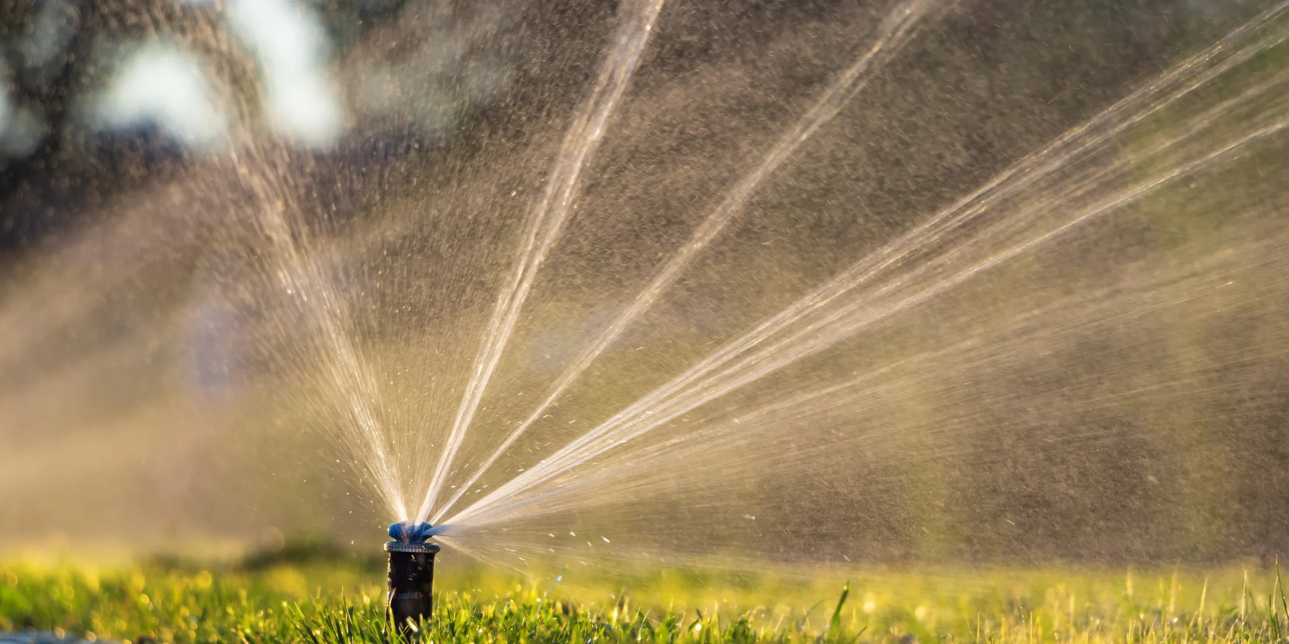 Automatic sprinkler system watering the lawn. Lawn irrigation in public park.