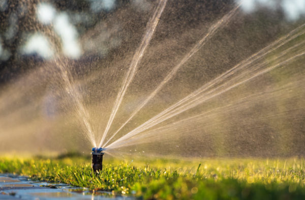 Automatic sprinkler system watering the lawn. Lawn irrigation in public park.