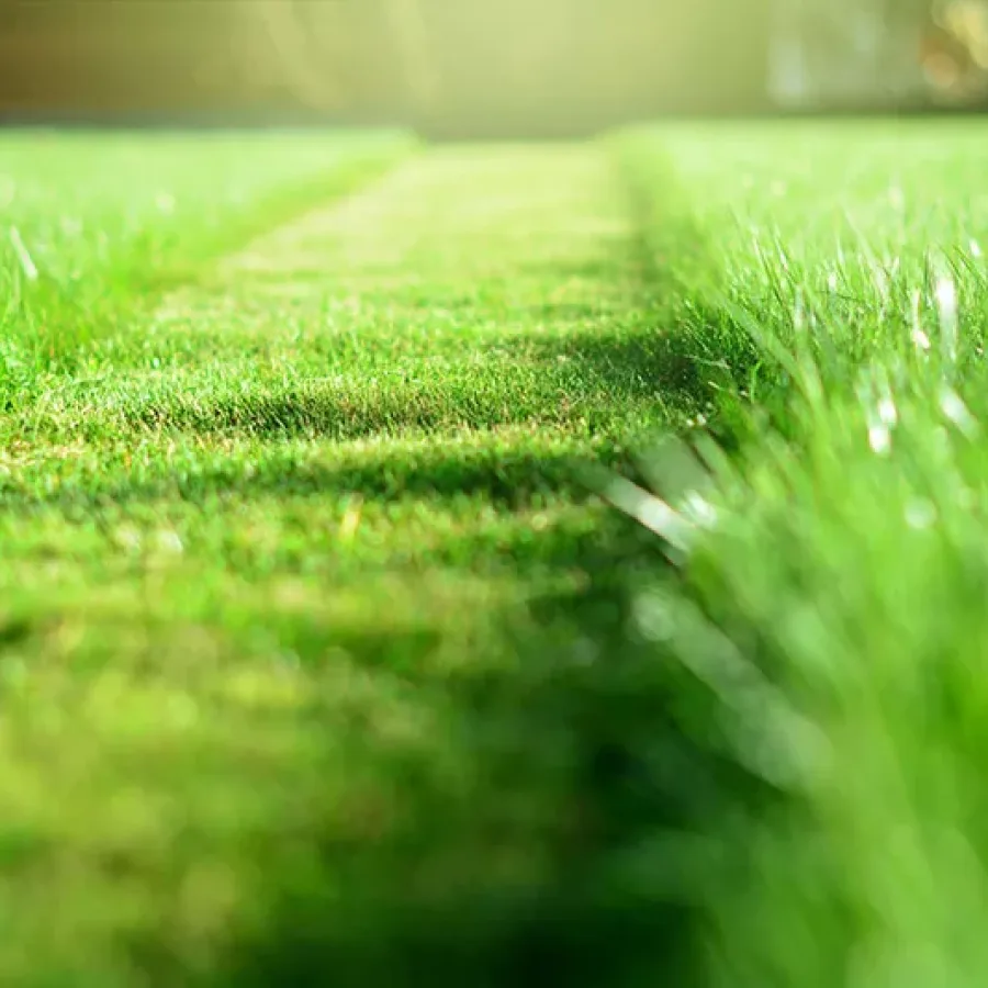 Mähservice-Team-Oschmann