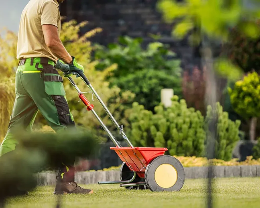 Rasen-düngen-Team-Oschmann